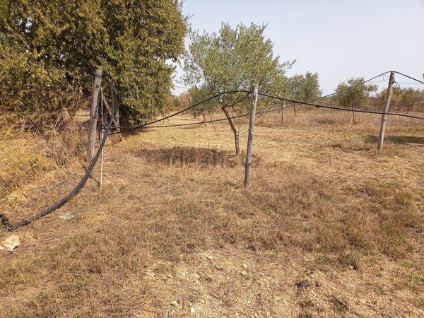 terreno agricolo in vendita a Pachino
