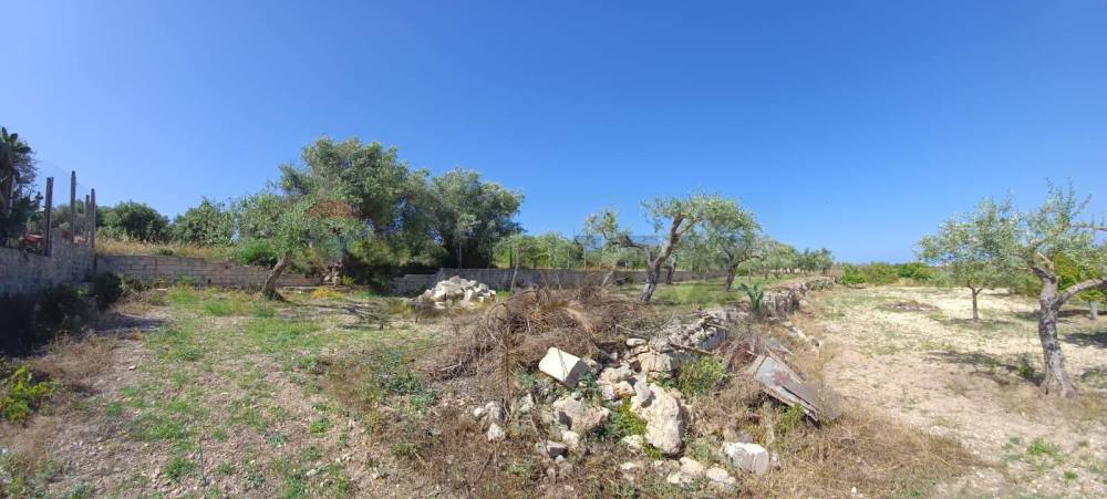 terreno agricolo in vendita a Pachino
