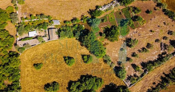 casa indipendente in vendita a Palazzolo Acreide