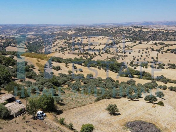casa indipendente in vendita a Palazzolo Acreide