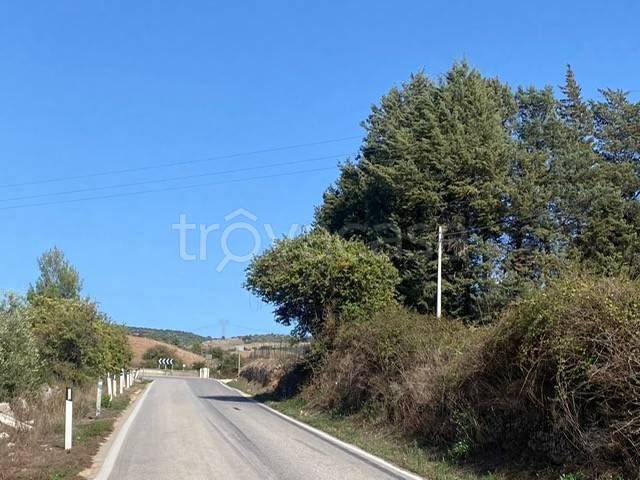 terreno agricolo in vendita a Palazzolo Acreide