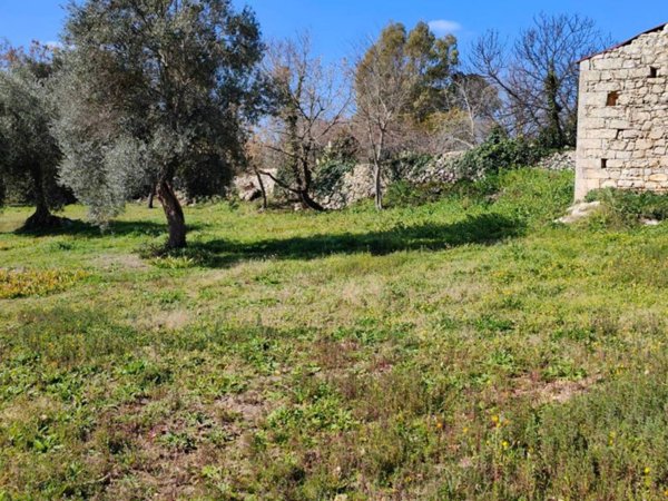 casa indipendente in vendita a Palazzolo Acreide