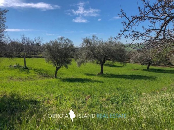 casa indipendente in vendita a Palazzolo Acreide