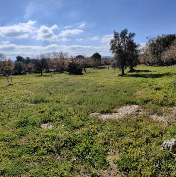 casa indipendente in vendita a Palazzolo Acreide