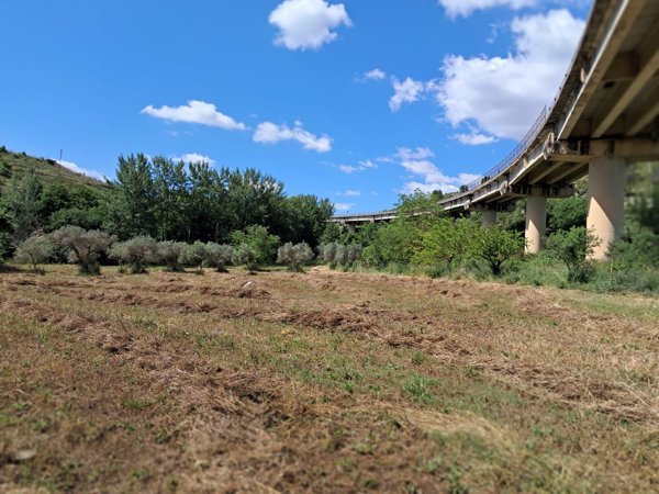 terreno agricolo in vendita a Palazzolo Acreide