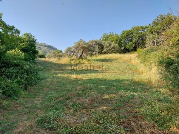 terreno agricolo in vendita a Palazzolo Acreide