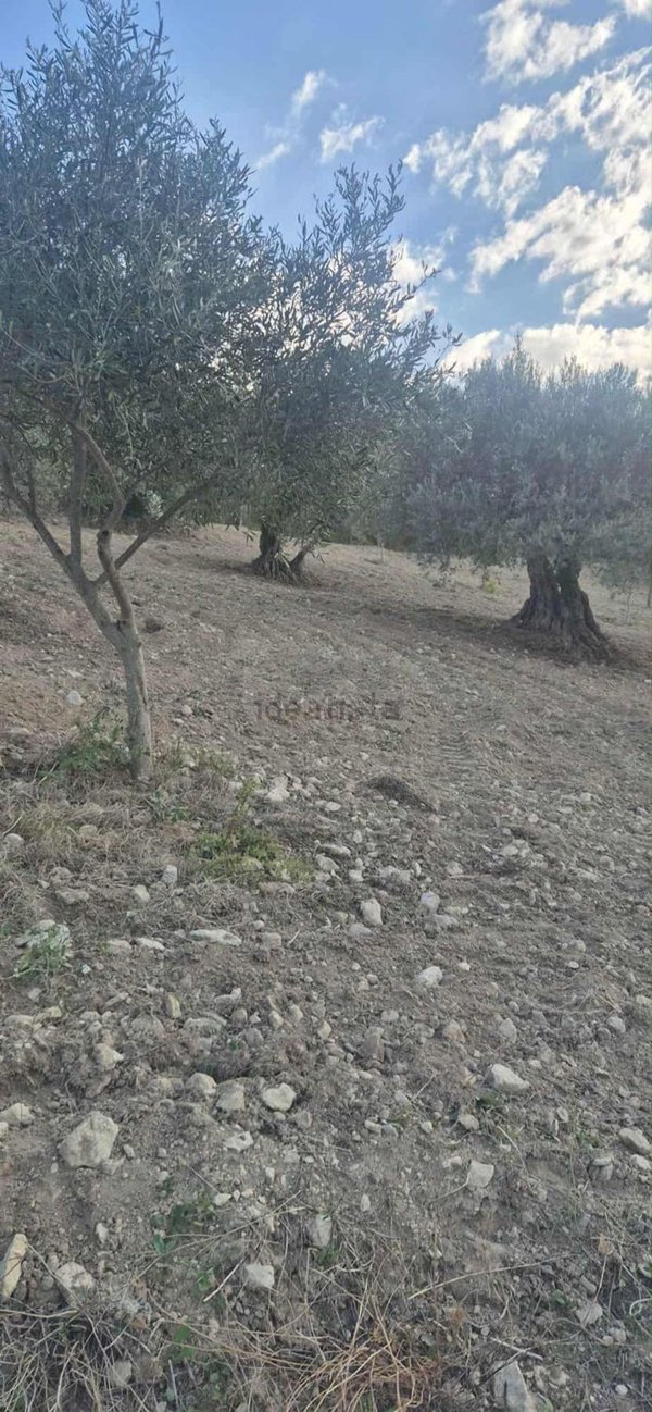 terreno agricolo in vendita a Palazzolo Acreide