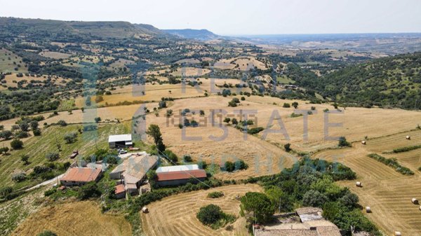 pentavano in vendita a Palazzolo Acreide