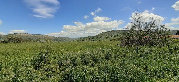 casa indipendente in vendita a Palazzolo Acreide