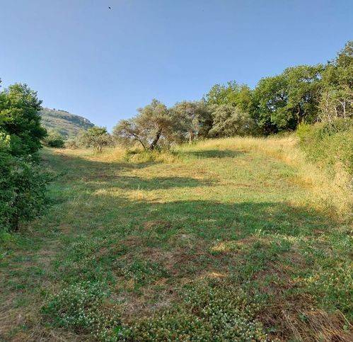 terreno agricolo in vendita a Palazzolo Acreide