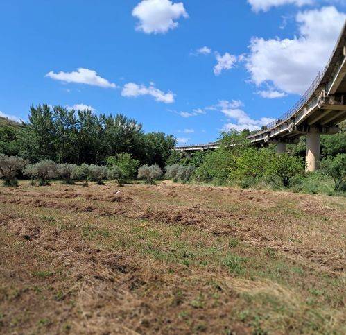 terreno agricolo in vendita a Palazzolo Acreide