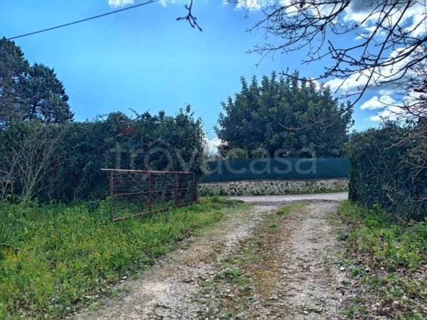 terreno agricolo in vendita a Palazzolo Acreide