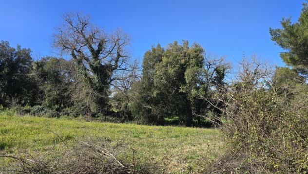 casa indipendente in vendita a Palazzolo Acreide