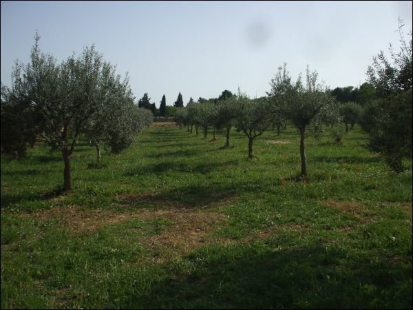 casa indipendente in vendita a Palazzolo Acreide