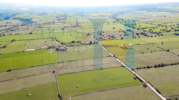 terreno agricolo in vendita a Rosolini