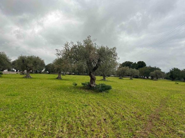 terreno agricolo in vendita a Rosolini