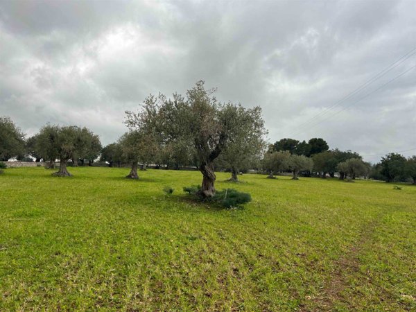 terreno agricolo in vendita a Rosolini