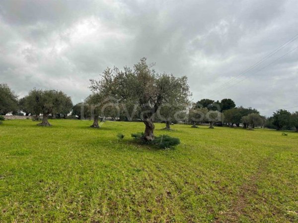 terreno agricolo in vendita a Rosolini