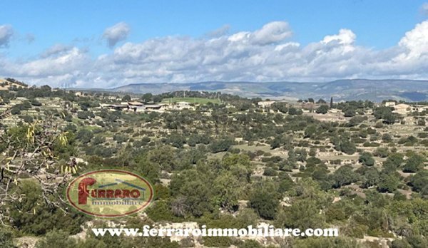 esavano in vendita a Rosolini