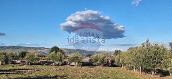 casa indipendente in vendita a Rosolini