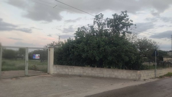 terreno agricolo in vendita a Rosolini