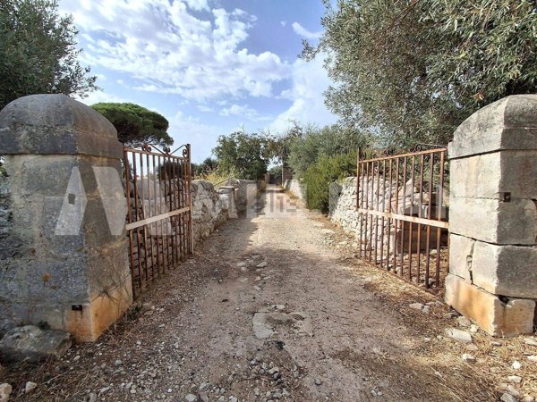 esavano in vendita a Rosolini