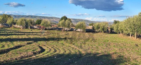 casa indipendente in vendita a Rosolini