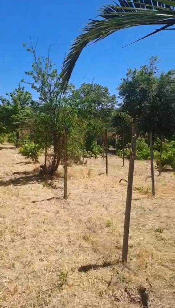 casa indipendente in vendita a Rosolini