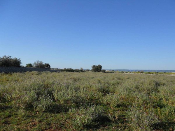 terreno agricolo in vendita a Rosolini