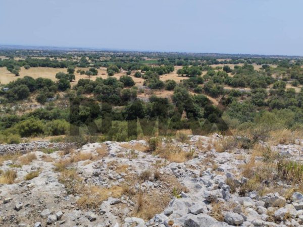 terreno agricolo in vendita a Rosolini