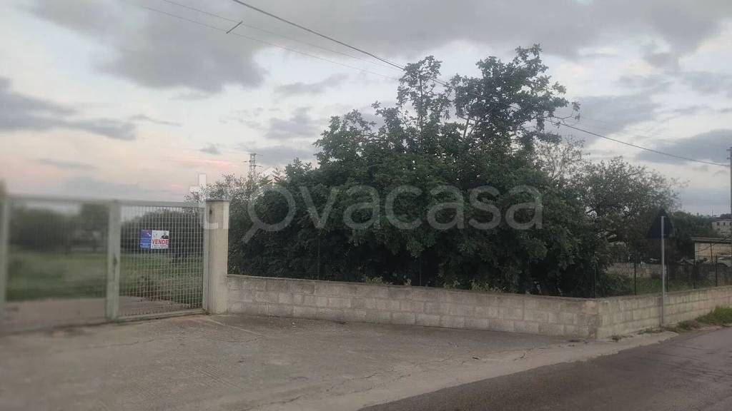 terreno agricolo in vendita a Rosolini