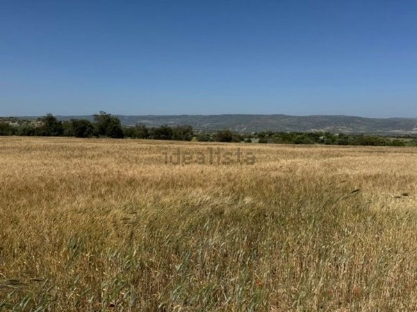 terreno in vendita a Rosolini