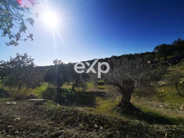 terreno in vendita a Rosolini