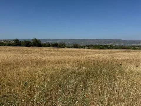 terreno in vendita a Rosolini