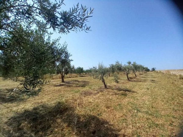 terreno in vendita a Rosolini