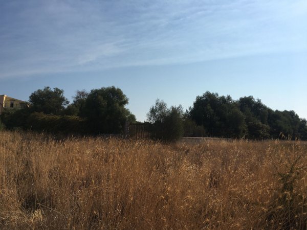 casa indipendente in vendita a Siracusa