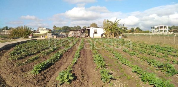 terreno agricolo in vendita a Siracusa in zona Borgata