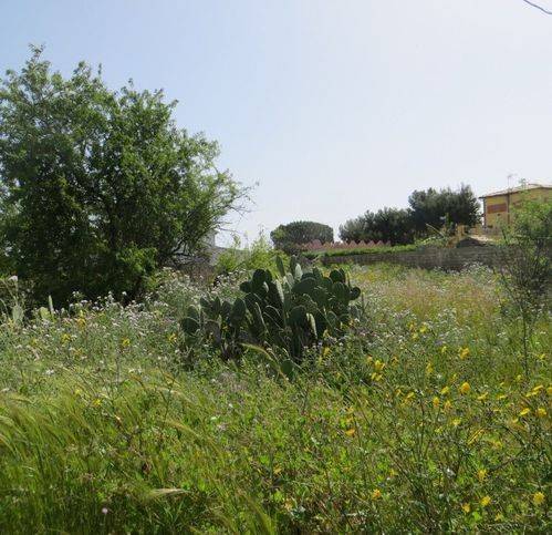 terreno agricolo in vendita a Siracusa