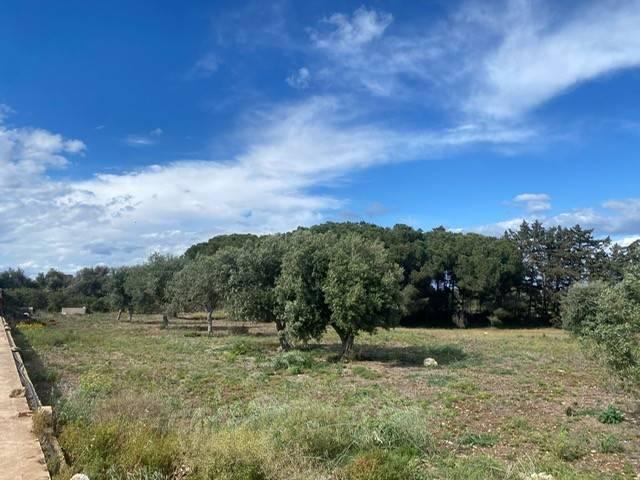 terreno agricolo in vendita a Siracusa in zona Isola / Plemmirio