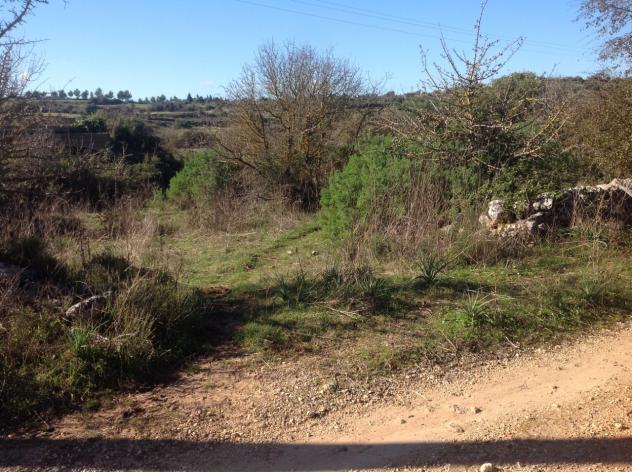 terreno agricolo in vendita a Siracusa