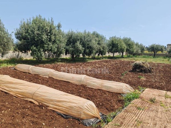 casa indipendente in vendita a Siracusa in zona Arenella