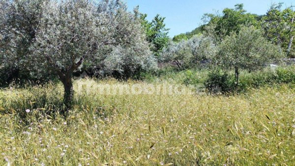 terreno agricolo in vendita a Siracusa in zona Epipoli