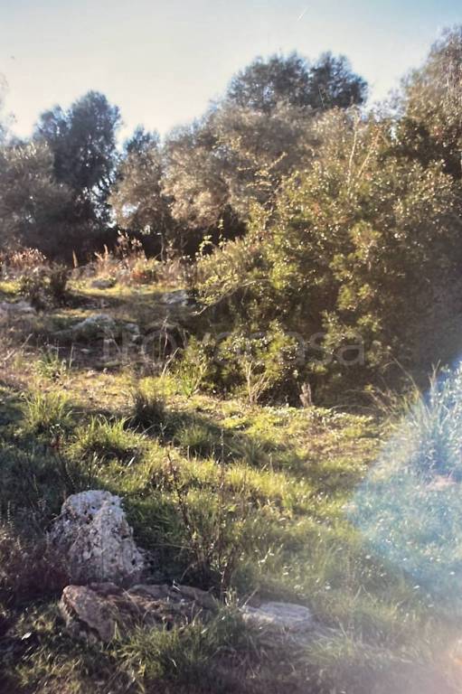 terreno edificabile in vendita a Siracusa