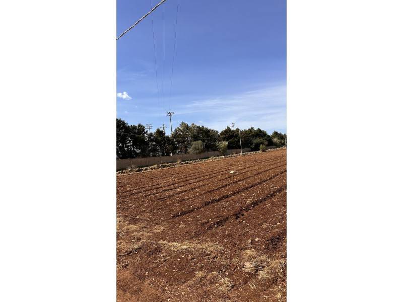 terreno agricolo in vendita a Siracusa in zona Cassibile