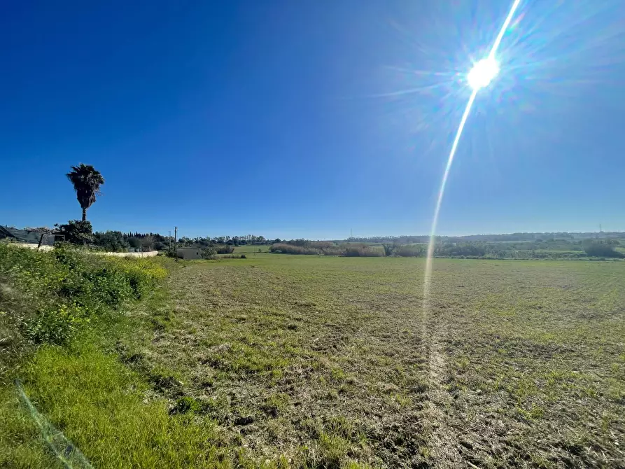 terreno agricolo in vendita a Siracusa