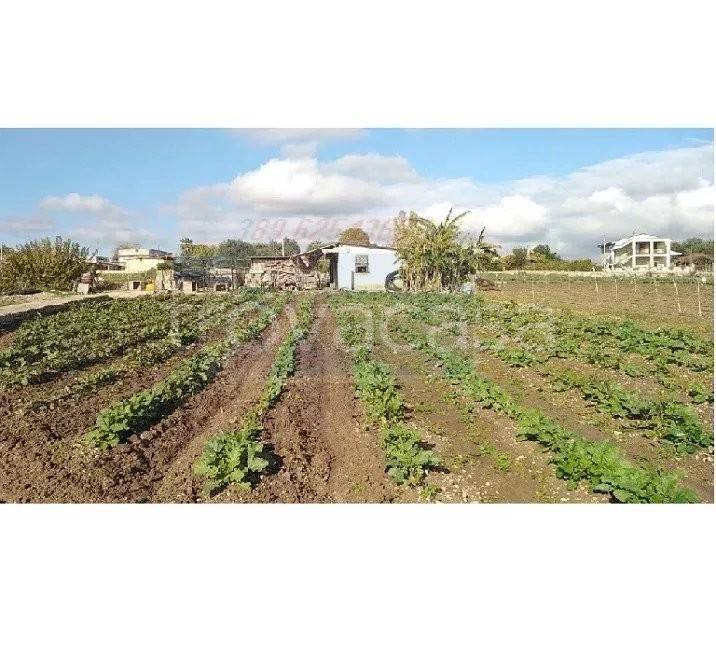 terreno agricolo in vendita a Siracusa in zona Borgata