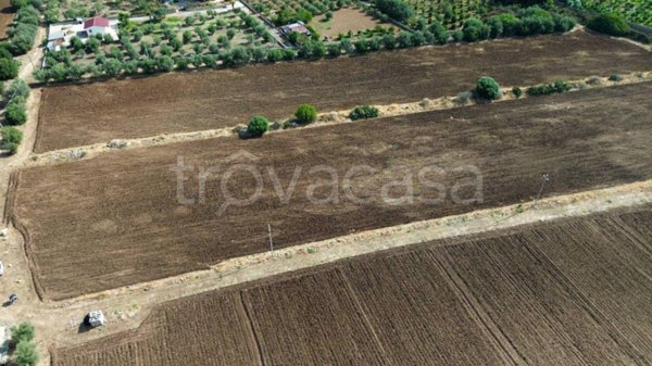 terreno agricolo in vendita a Siracusa