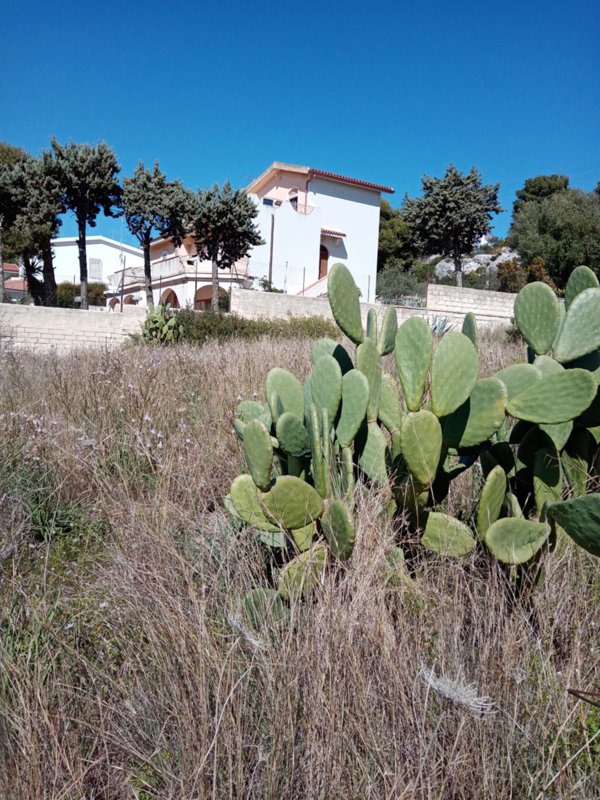 terreno edificabile in vendita a Siracusa in zona Isola / Plemmirio