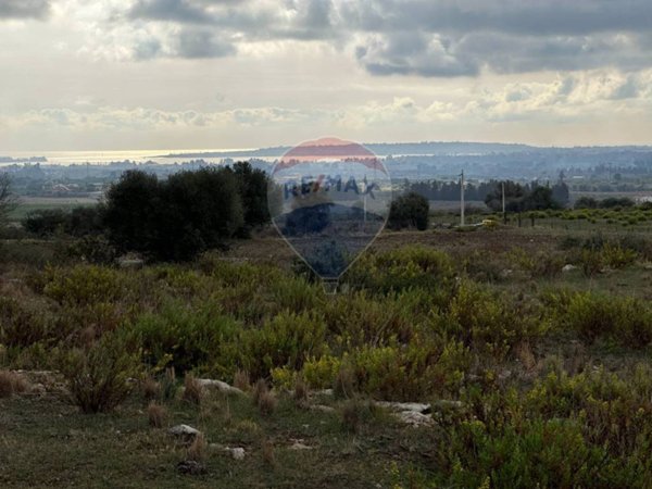 terreno agricolo in vendita a Siracusa in zona Belvedere
