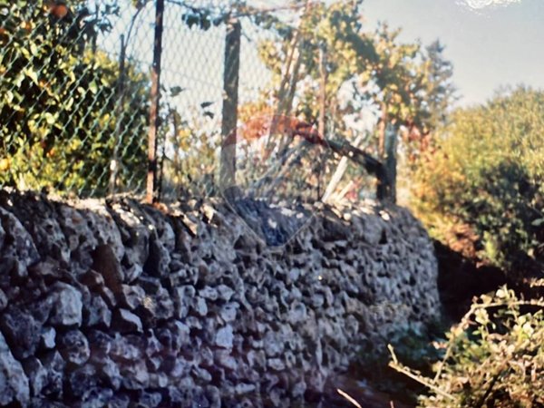 terreno agricolo in vendita a Siracusa